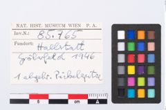 Foto von Bronzepickelspitze (NHMW-PRAE-085765)